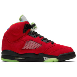 Nike Air Jordan 5 SE (GS)